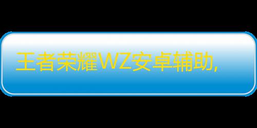 实时计算王者荣耀WZ安卓辅助,方框微调/血量绘制 V5.12